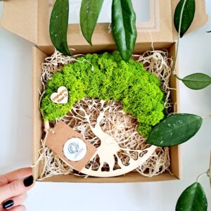 Drzewko z chrobotkiem jasnozielonym i sercem z dedykacją w pudełku.