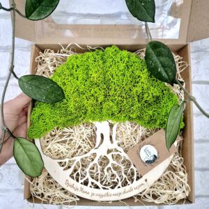 Ozdoba z chrobotka reniferowego w pudełku – wyjątkowy prezent z podziękowaniem dla mamy.