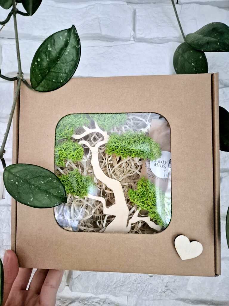 Drzewko na dzień matki zapakowane w pudełko z okienkiem.