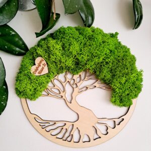 Prezent z chrobotka dla nauczyciela w pudełku z okienkiem.