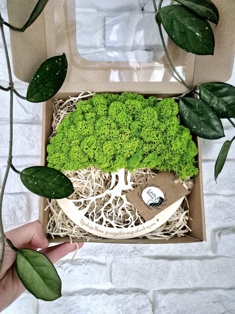 Drzewo z chrobotka – nowoczesna dekoracja z mchu stabilizowanego