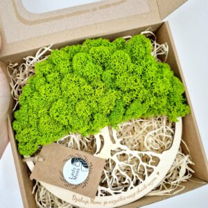 Zielona dekoracja ścienna – drzewko z mchu chrobotka