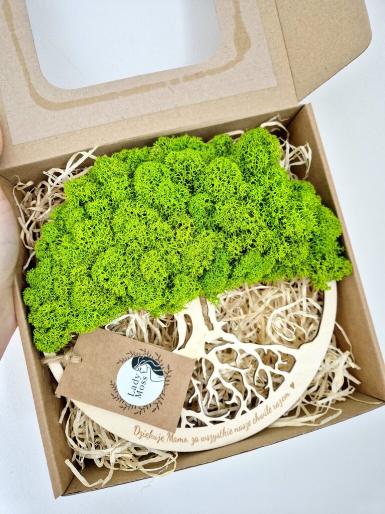 Zielona dekoracja ścienna – drzewko z mchu chrobotka