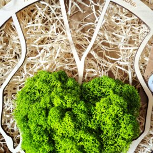 Dekoracja z cytatem: nie tylko z książek płynie dobra nauka.