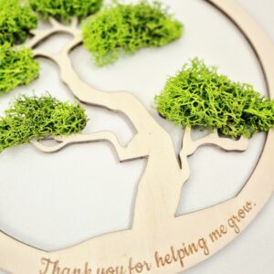 Prezent dla nauczyciela języka angielskiego – drzewko bonsai z dedykacją.