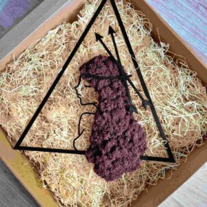 Dekoracja z chrobotka reniferowego przedstawiająca znak zodiaku Strzelec, zapakowana w ekologiczne. Produkt gotowy do wręczenia jako prezent – starannie zabezpieczony, z eleganckim, naturalnym wyglądem opakowania. Idealny upominek handmade dla miłośników astrologii i rękodzieła.