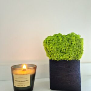 Doniczki z chrobotkiem