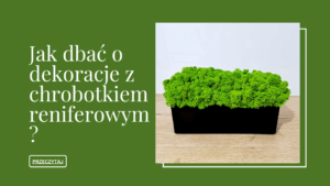 Wpis o tym jak dbać aby dekoracja zachowała swój piękny wygląd na długo. Kilka podstawowych zasad pielęgnacji dekoracji z chrobotka reniferowego.