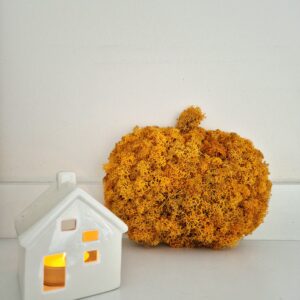 Ozdoba handmade z naturalnego impregnowanego chrobotka reniferowego – dynia 18 cm w kolorze pomarańczowym – dekoracja do wnętrza.