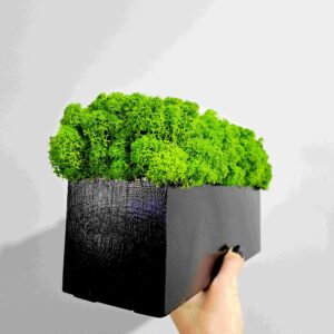 Elegancka czarna doniczka z naturalnym jasnozielonym chrobotkiem, 30 cm – nowoczesna dekoracja do domu i biura z piankowym zabezpieczeniem od spodu.