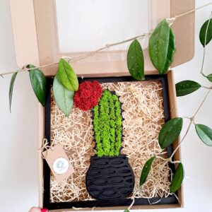 Kwitnący kaktus – dekoracja ścienna z chrobotkiem reniferowym w czarnej ramie 30x30 cm, zielony mech z czerwonym kwiatem w ozdobnej donicy.