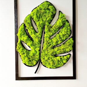 Dekoracyjny liść monstery z jasnozielonym chrobotkiem reniferowym, wymiary 42x60 cm, zawieszony na ścianie, naturalny i przytulny wygląd wnętrza.