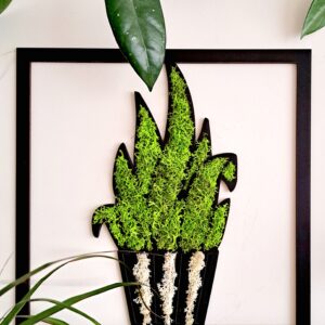 Sanseviera z chrobotkiem reniferowym o wymiarach 30x30 cm w biało-czarnej doniczce, liście jasnozielone, dekoracja do domu i biura.